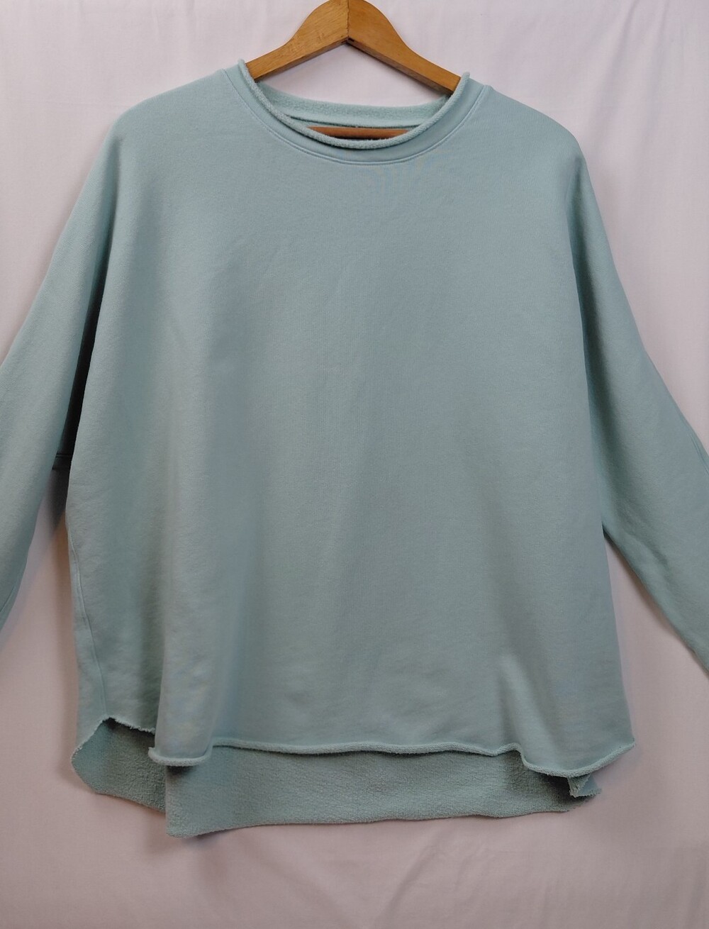 Frank & Eileen Anna Sweatshirt Women's Size Large Robin's Egg Blue